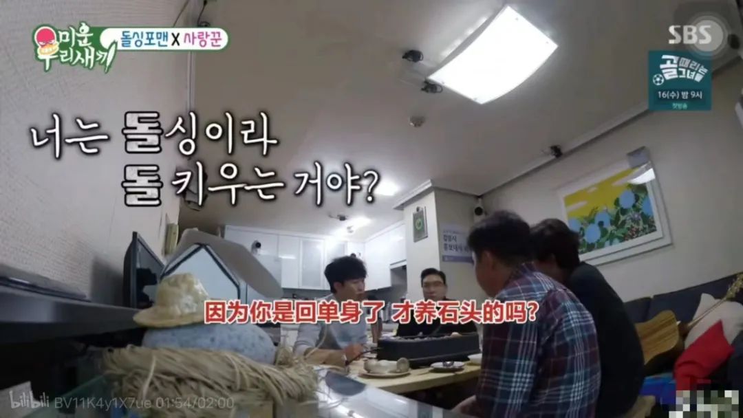 拒绝挖野菜的打工人，都在忙着给野生石头征婚休闲区蓝鸢梦想 - Www.slyday.coM