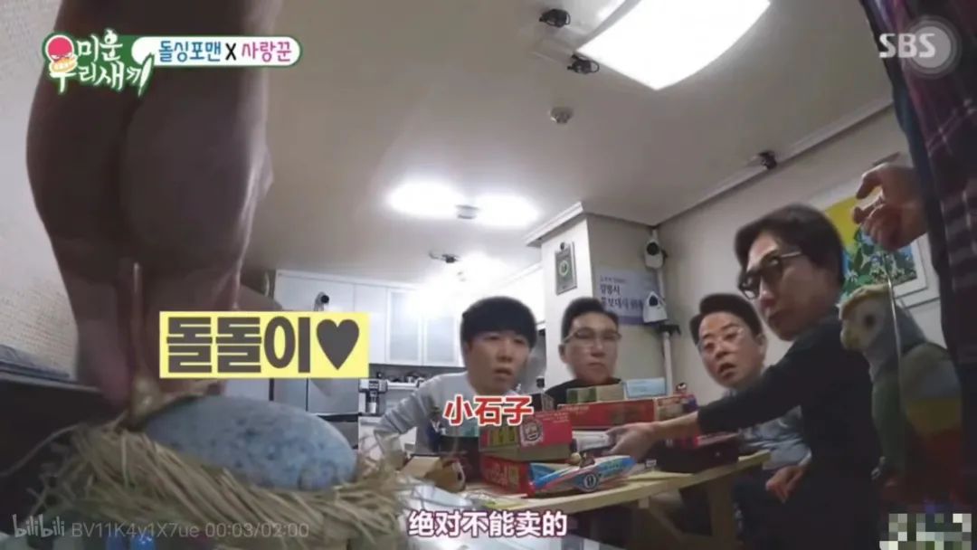 拒绝挖野菜的打工人，都在忙着给野生石头征婚休闲区蓝鸢梦想 - Www.slyday.coM