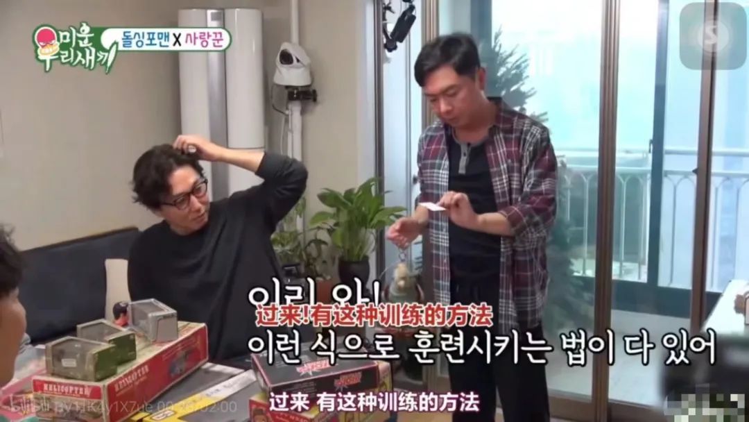 拒绝挖野菜的打工人，都在忙着给野生石头征婚休闲区蓝鸢梦想 - Www.slyday.coM