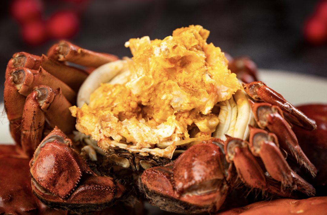 非遗新体验休闲区蓝鸢梦想 - Www.slyday.coM