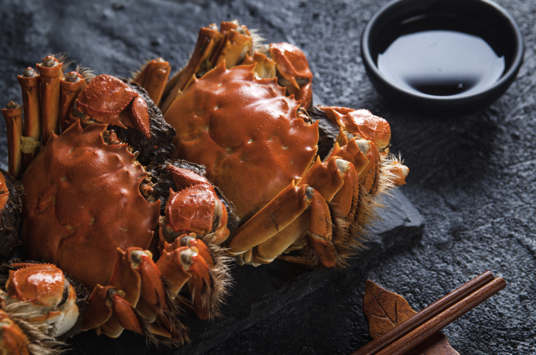 非遗新体验休闲区蓝鸢梦想 - Www.slyday.coM