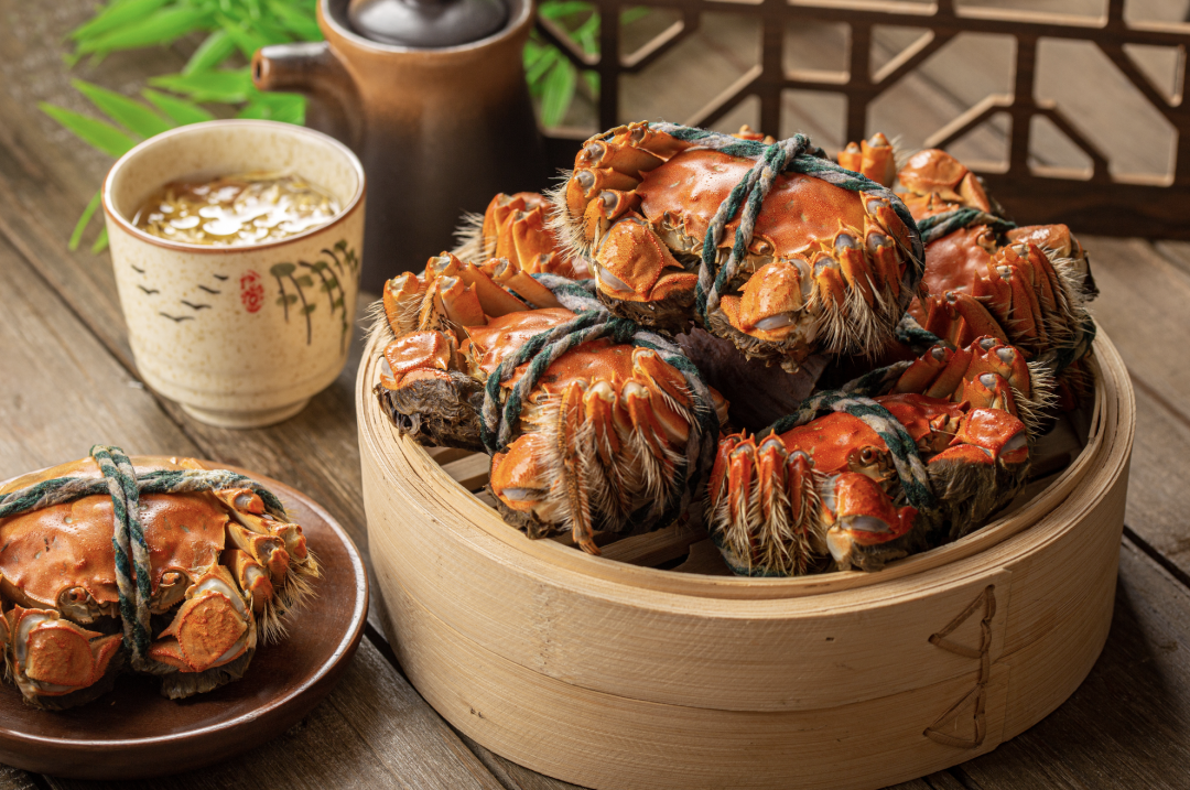 非遗新体验休闲区蓝鸢梦想 - Www.slyday.coM