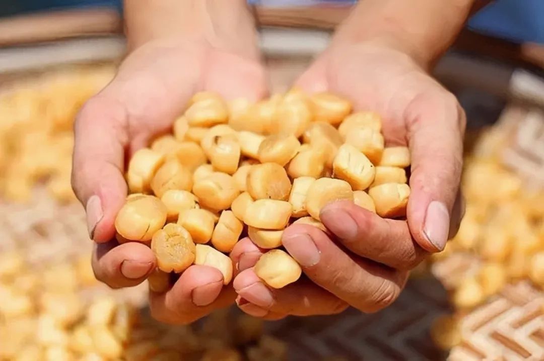 涨知识！湛江人爱吃的瑶柱原来是这样做出来的休闲区蓝鸢梦想 - Www.slyday.coM