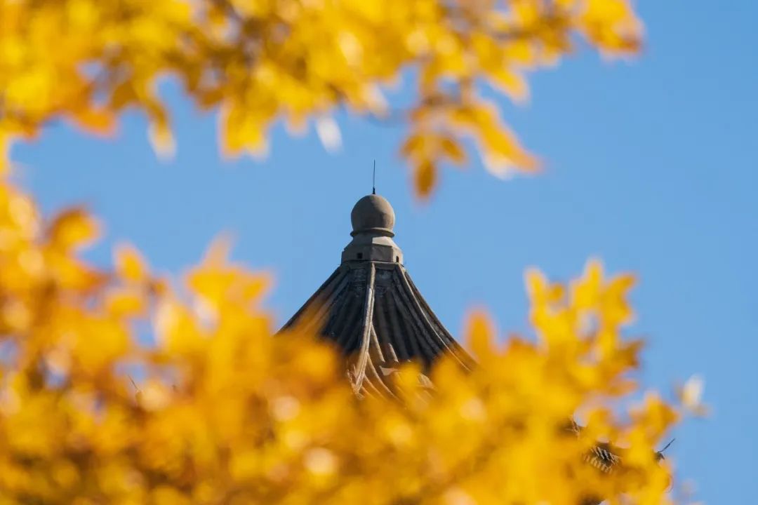 如约而至，北大最美的秋天！休闲区蓝鸢梦想 - Www.slyday.coM