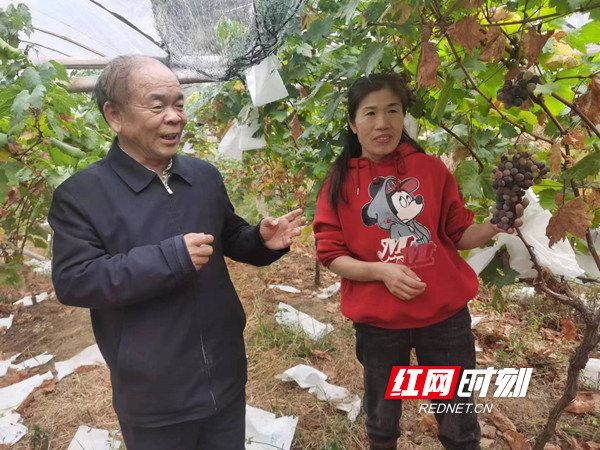 将初心进行到底:涟源“老年网红”李郁林炫彩 “出圈”