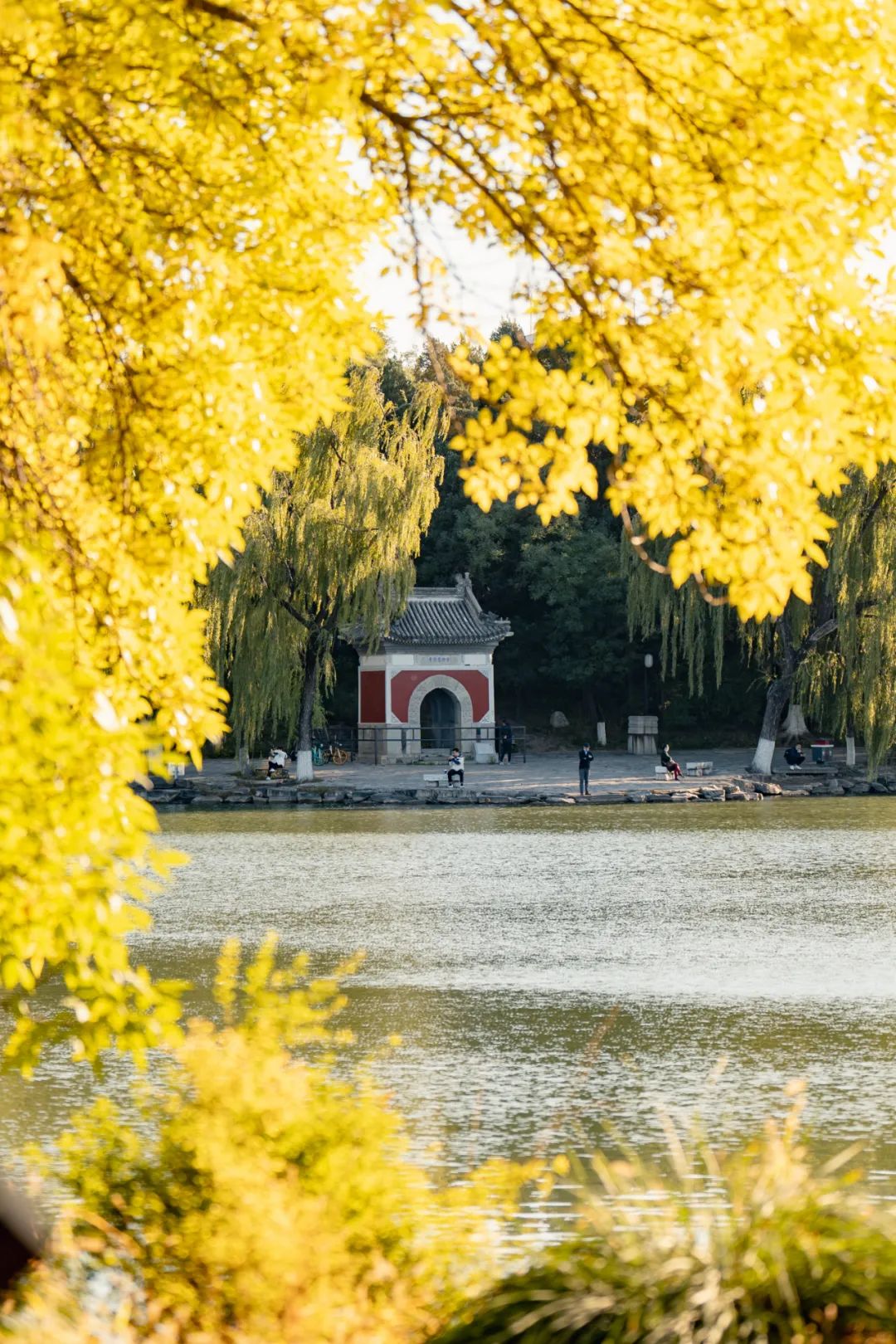 如约而至，北大最美的秋天！休闲区蓝鸢梦想 - Www.slyday.coM