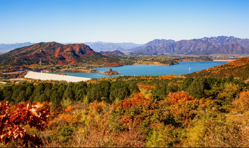 秋意正浓!昌平绝美秋景上新