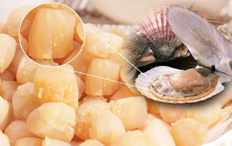 涨知识！湛江人爱吃的瑶柱原来是这样做出来的休闲区蓝鸢梦想 - Www.slyday.coM