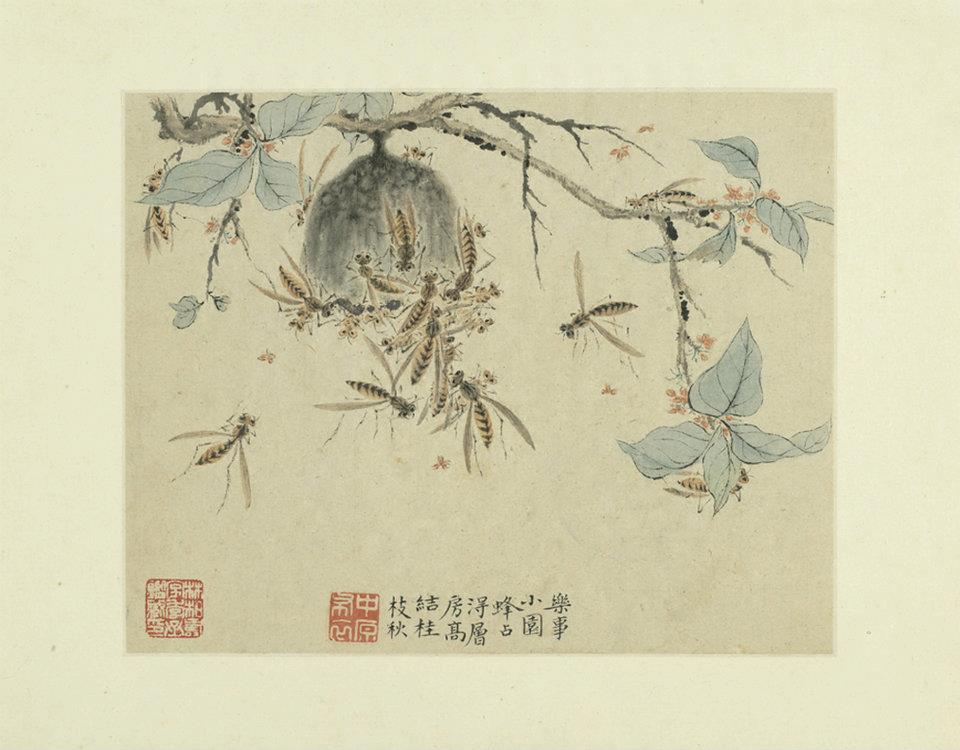 台北故宫博物院文物毁损后，又陷“不续约争议”休闲区蓝鸢梦想 - Www.slyday.coM