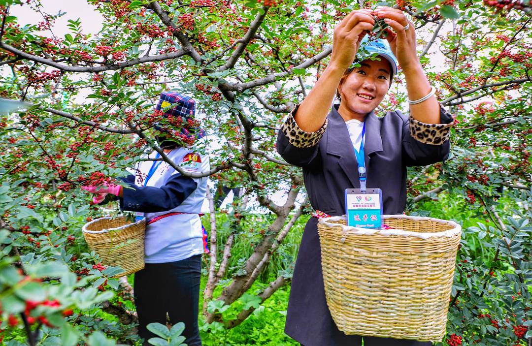 镜头下的大凉山：凉山州成立70周年县市风采——盐源县休闲区蓝鸢梦想 - Www.slyday.coM