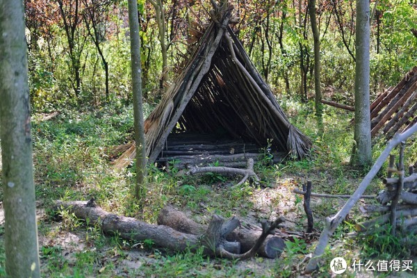 维生素BC如何改善情绪 哪些食物富含维生素BC