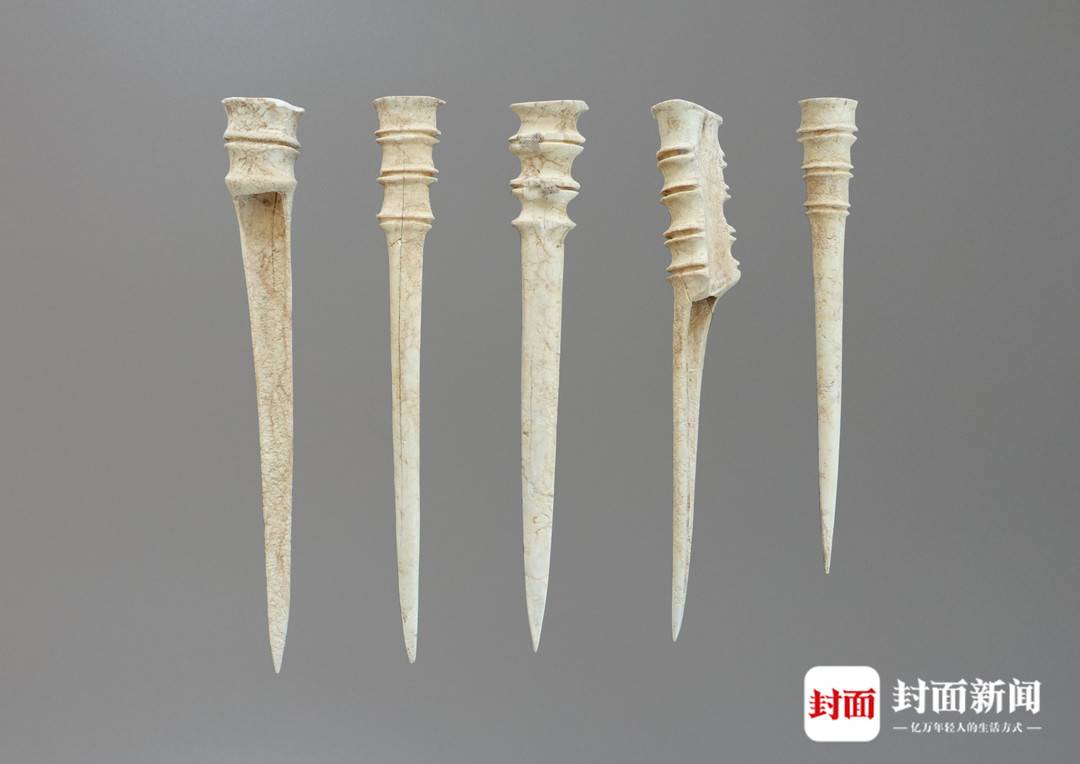 仰韶考古首次发现笄形骨器 或与早期纺织手工业有关丨考古中国|考古|陕西省_新浪新闻