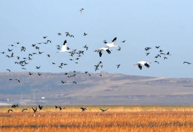 你好，“老朋友”！沈阳的美，你们最懂休闲区蓝鸢梦想 - Www.slyday.coM