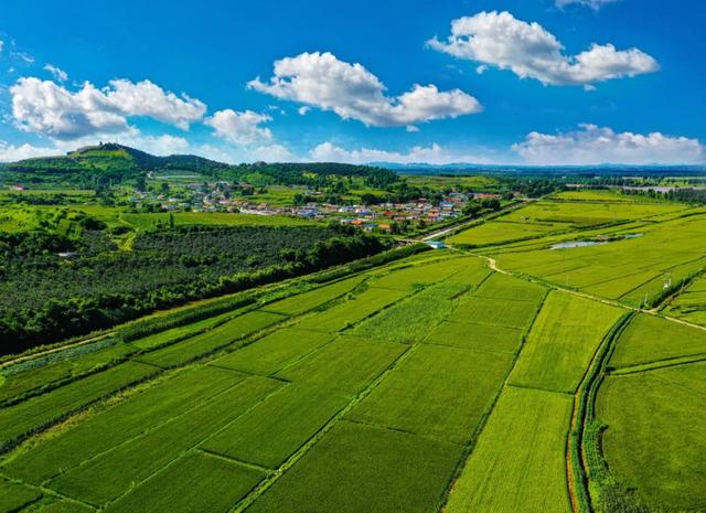 你好，“老朋友”！沈阳的美，你们最懂休闲区蓝鸢梦想 - Www.slyday.coM