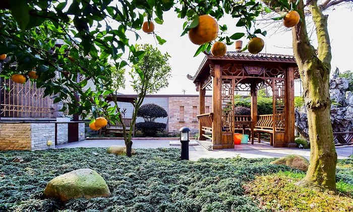 宁波11个村上榜这份省级名单休闲区蓝鸢梦想 - Www.slyday.coM