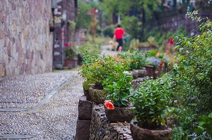 宁波11个村上榜这份省级名单休闲区蓝鸢梦想 - Www.slyday.coM