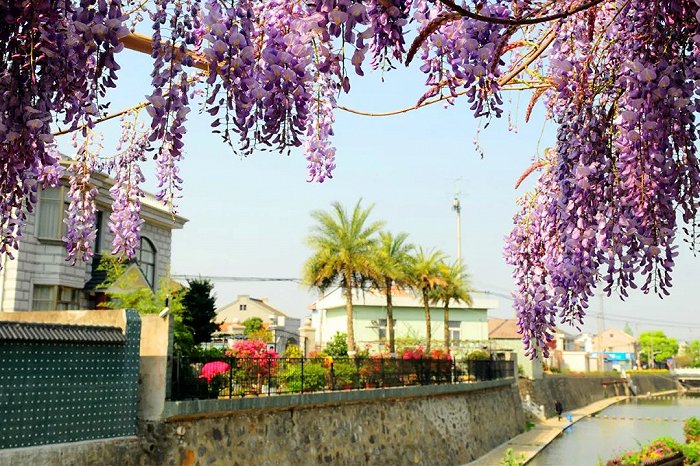 宁波11个村上榜这份省级名单休闲区蓝鸢梦想 - Www.slyday.coM