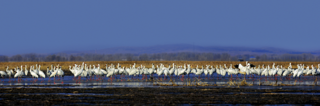 你好，“老朋友”！沈阳的美，你们最懂休闲区蓝鸢梦想 - Www.slyday.coM