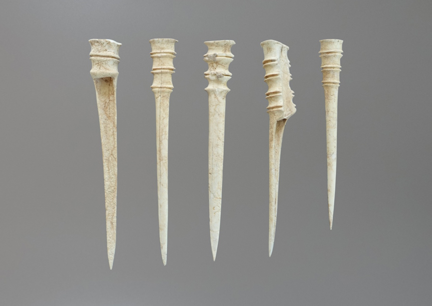 秦汉新城蒋刘遗址首次发现仰韶晚期笄形骨器|秦汉|新城|仰韶_新浪新闻