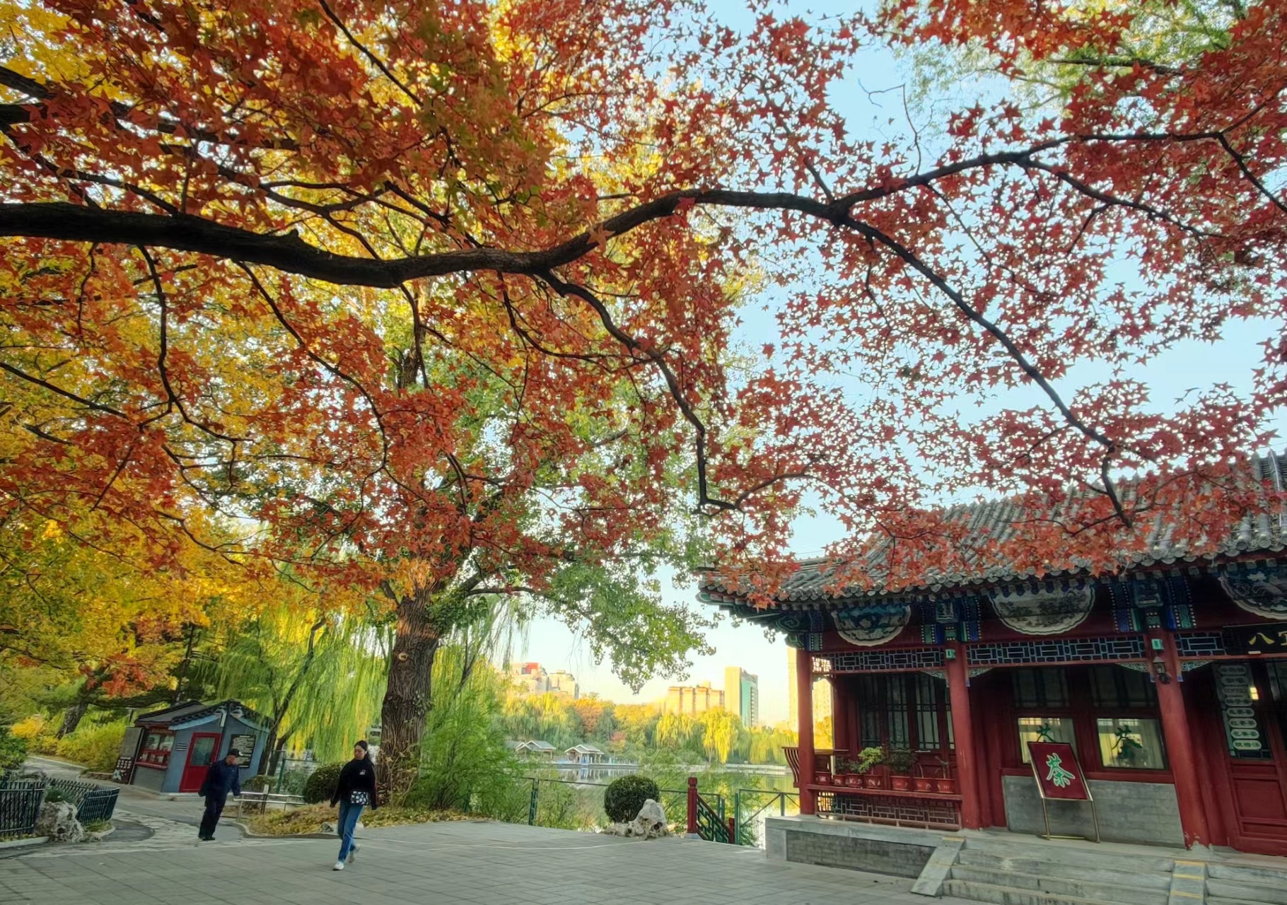 紫竹院公园秋天图片图片