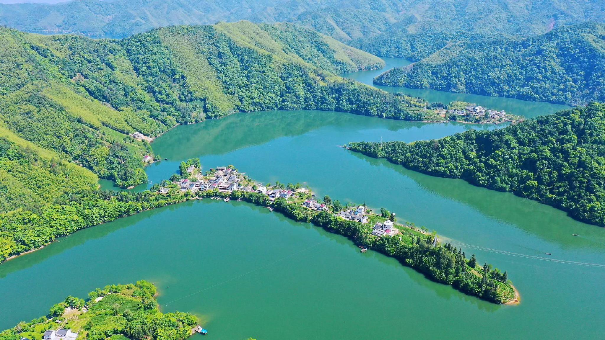 江浙沪皖4个小众旅行地,人少景美拍照很出片,适合带女朋友去|东极岛|曙光村|黄山市|安徽省|猫咪_新浪新闻