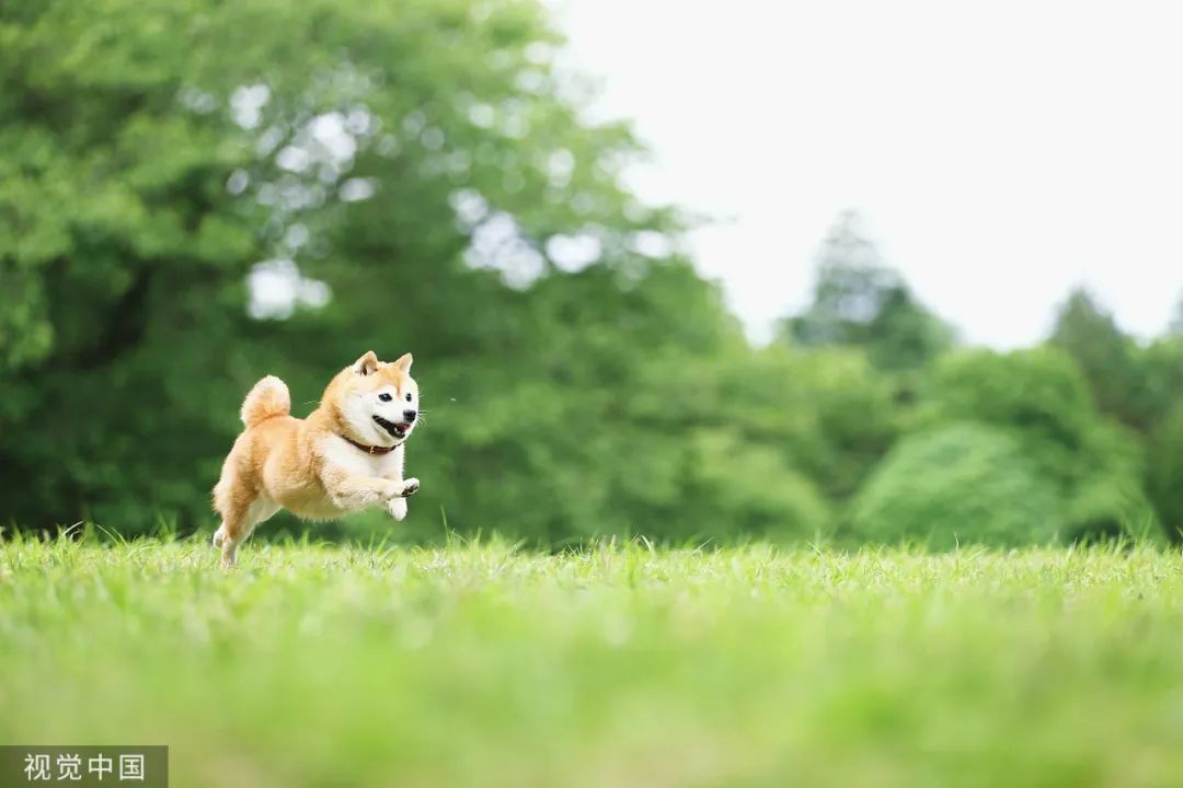 平替“远方”？他们在玩一种很新的东西休闲区蓝鸢梦想 - Www.slyday.coM