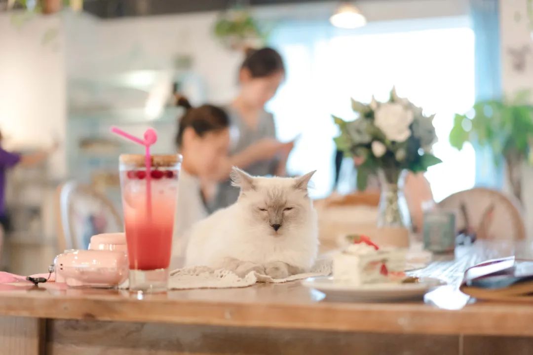 平替“远方”？他们在玩一种很新的东西休闲区蓝鸢梦想 - Www.slyday.coM