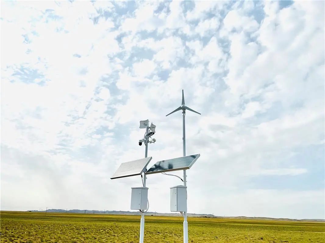 数字羊、乌骨羊、白绒山羊...来看乌拉特中旗“羊了个羊”休闲区蓝鸢梦想 - Www.slyday.coM