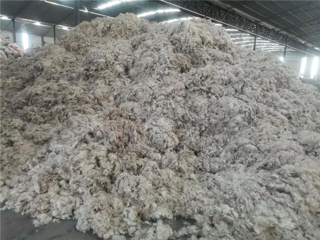 数字羊、乌骨羊、白绒山羊...来看乌拉特中旗“羊了个羊”休闲区蓝鸢梦想 - Www.slyday.coM