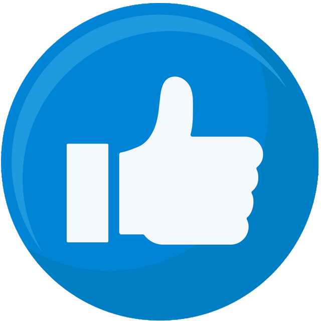 关于第13届中国·宋庄文化艺术节延期举办的公告休闲区蓝鸢梦想 - Www.slyday.coM