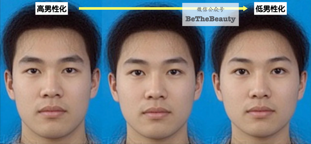 尖脸vs方脸:为啥新一代男星,常被说不如老一代经典耐看?帅哥养眼,审美升级!