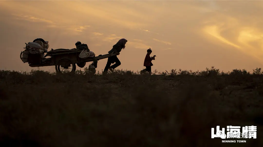 85花，这次不卷红毯了休闲区蓝鸢梦想 - Www.slyday.coM