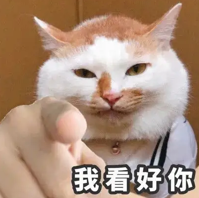 想和小坊做同事吗？没错！等的就是你！休闲区蓝鸢梦想 - Www.slyday.coM