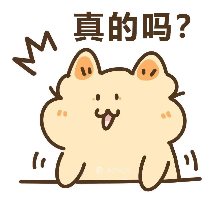 厦门的风，终于要小了！但新一轮冷空气马上到货……休闲区蓝鸢梦想 - Www.slyday.coM