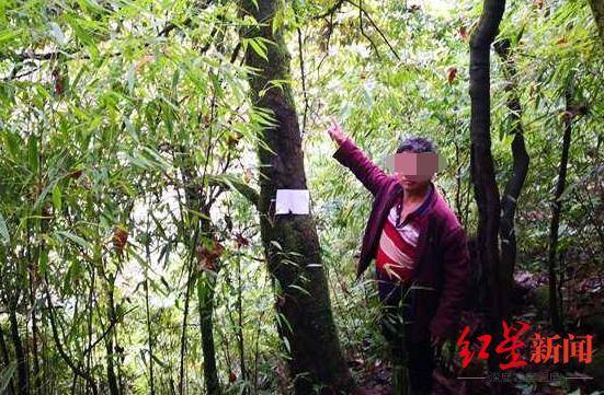 每只叫卖35万元！猎捕收售野生小熊猫团伙落网：警方查扣63只小熊猫活体休闲区蓝鸢梦想 - Www.slyday.coM