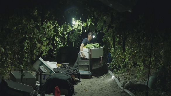 《加油吧！乡亲们》荣获第35届中国电影金鸡奖评委会提名休闲区蓝鸢梦想 - Www.slyday.coM