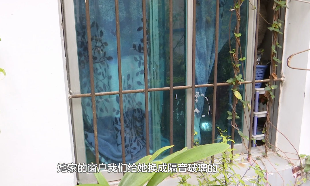 窗户外多了十几个“大家伙”，贵阳阿姨苦不堪言：一个星期没得睡觉了休闲区蓝鸢梦想 - Www.slyday.coM