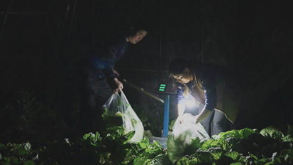 《加油吧！乡亲们》荣获第35届中国电影金鸡奖评委会提名休闲区蓝鸢梦想 - Www.slyday.coM