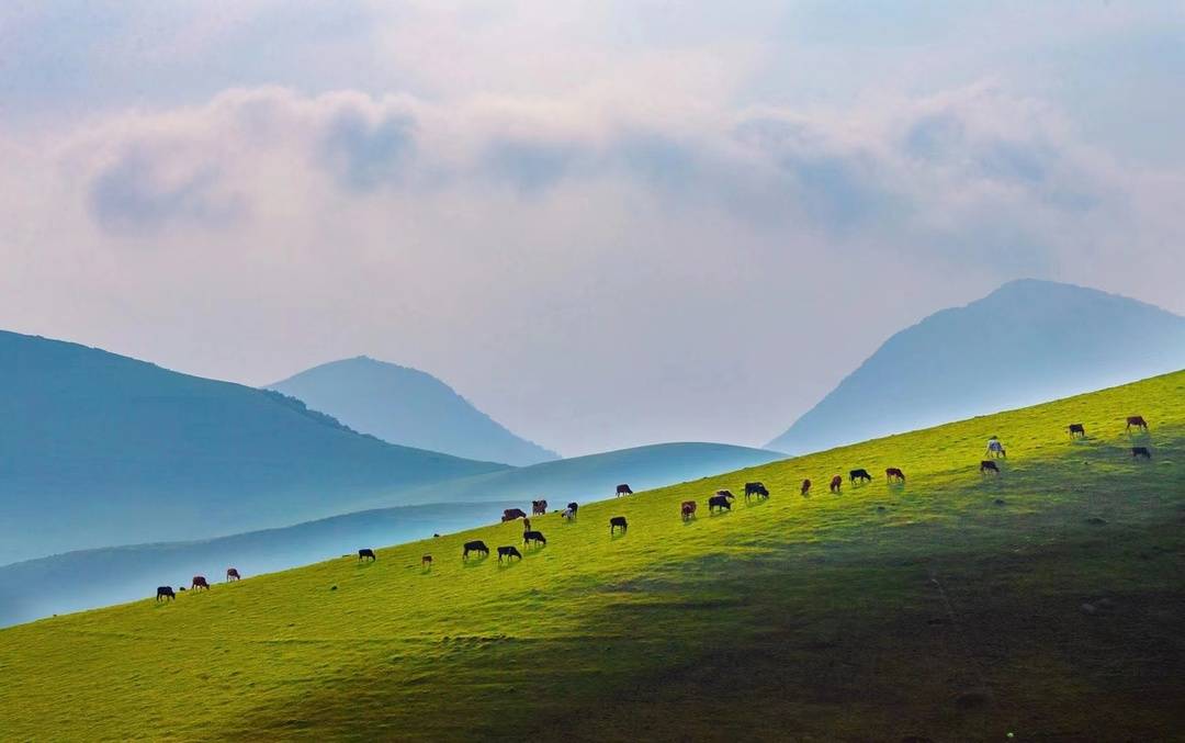 镜头下的大凉山：凉山州成立70周年县市风采——甘洛县休闲区蓝鸢梦想 - Www.slyday.coM