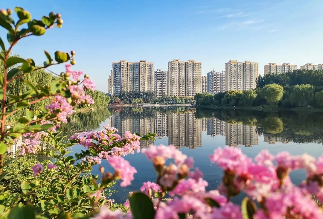 商河关键词seo优化排名方案