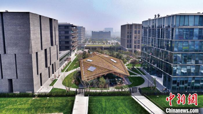 (第五届进博会)诺华集团(中国)总裁贝德年:我们一直受益于进博会的“溢出效应”__财经头条