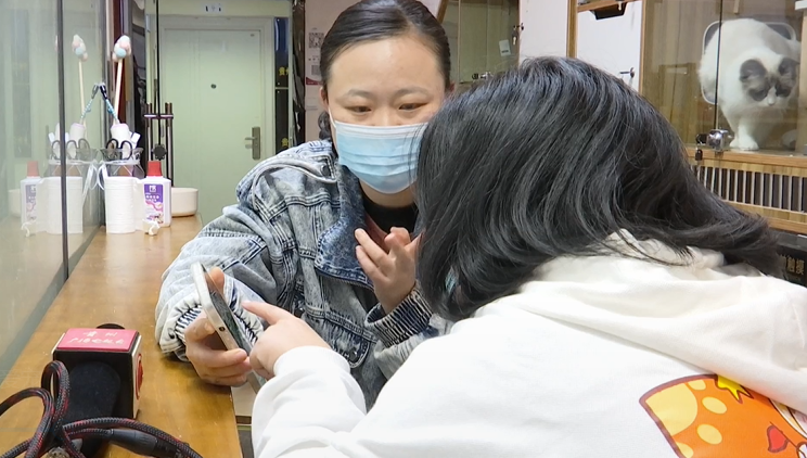 猫咪生病送医，一番操作后死亡！主人：她的身体死死压住猫休闲区蓝鸢梦想 - Www.slyday.coM