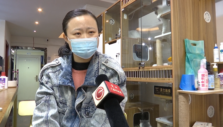 猫咪生病送医，一番操作后死亡！主人：她的身体死死压住猫休闲区蓝鸢梦想 - Www.slyday.coM