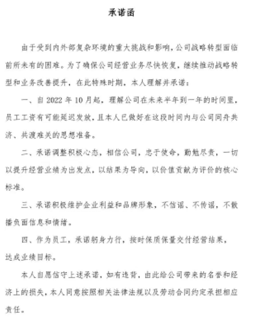 国美电器要求员工签署承诺函，未来半年到一年可能延发工资休闲区蓝鸢梦想 - Www.slyday.coM