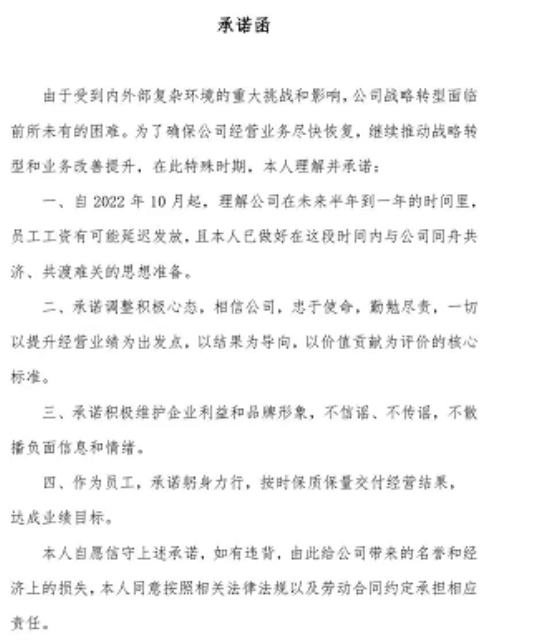 国美要求员工签承诺函，未来半年到一年可能延发工资休闲区蓝鸢梦想 - Www.slyday.coM