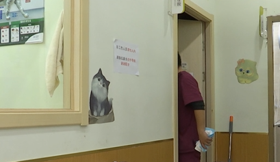 猫咪生病送医，一番操作后死亡！主人：她的身体死死压住猫休闲区蓝鸢梦想 - Www.slyday.coM