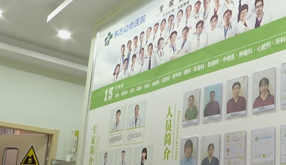 猫咪生病送医，一番操作后死亡！主人：她的身体死死压住猫休闲区蓝鸢梦想 - Www.slyday.coM