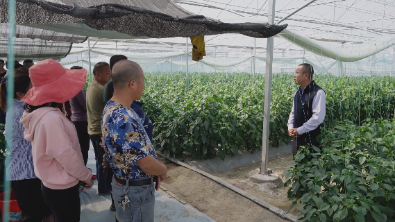 《加油吧！乡亲们》荣获第35届中国电影金鸡奖评委会提名休闲区蓝鸢梦想 - Www.slyday.coM