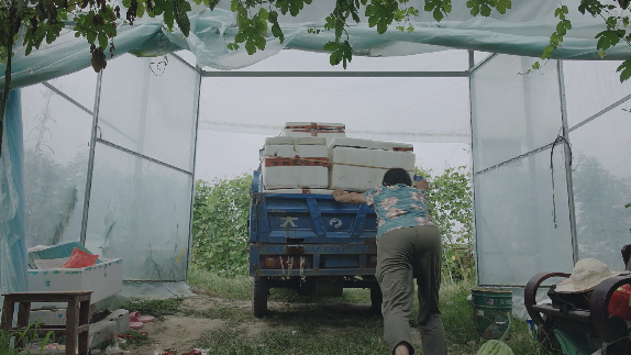 《加油吧！乡亲们》荣获第35届中国电影金鸡奖评委会提名休闲区蓝鸢梦想 - Www.slyday.coM