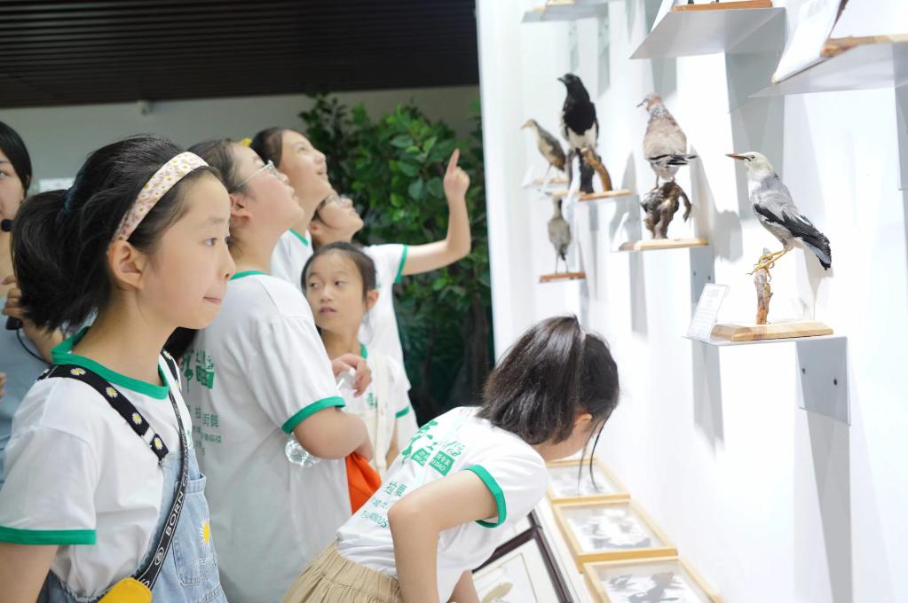 自然教育者眼中的和谐共生现代化美景休闲区蓝鸢梦想 - Www.slyday.coM